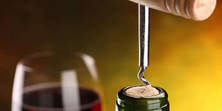 still-life-with-glass-and-bottle-of-wine