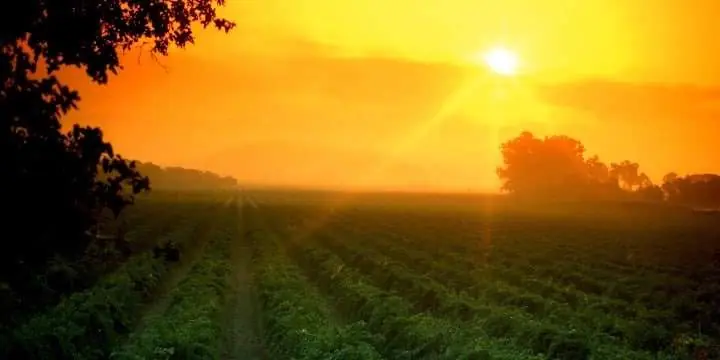 26_itemthemeimage_4733-jpg