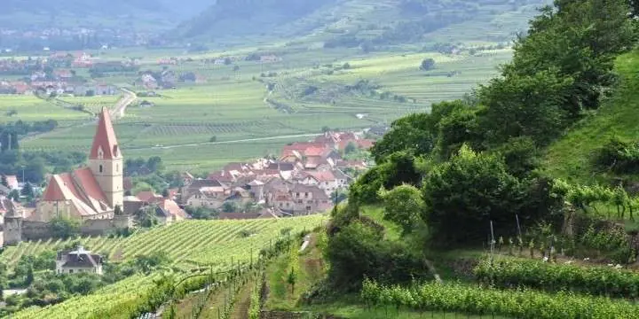 26_itemthemeimage_4851-jpg