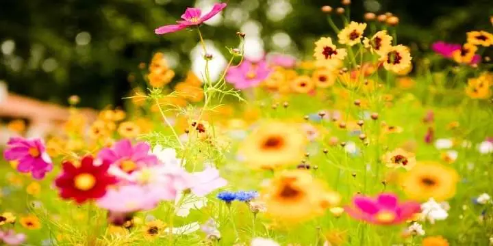 26_itemthemeimage_4892-jpg