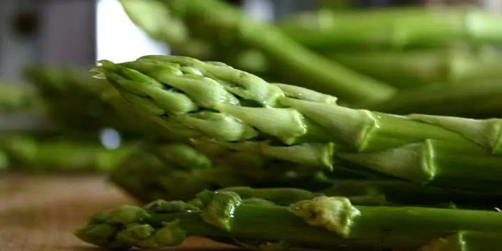 26_itemthemeimage_5122-jpg