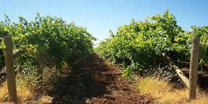 napa_stor