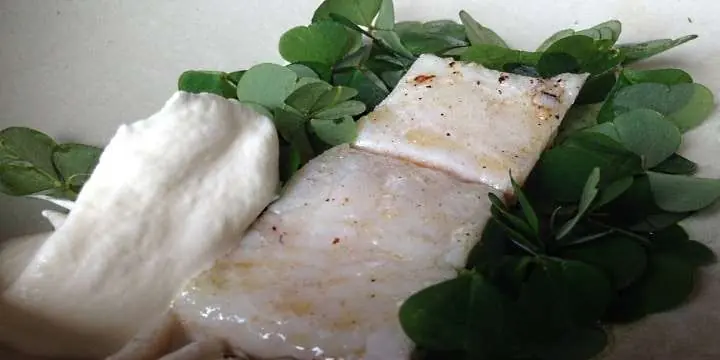 Matcha grillad piggvar med vitt Rhônevin 13 piggvar_front