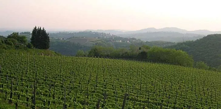 slovenien_front