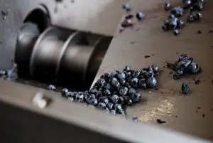 The Winery Hotel – besök på det urbana vineriet 4 avstjalkningsmaskin