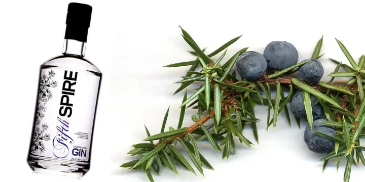 ginfront