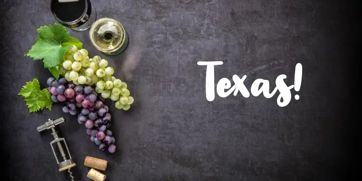 Texas vinglas och flaska och Texas flagga