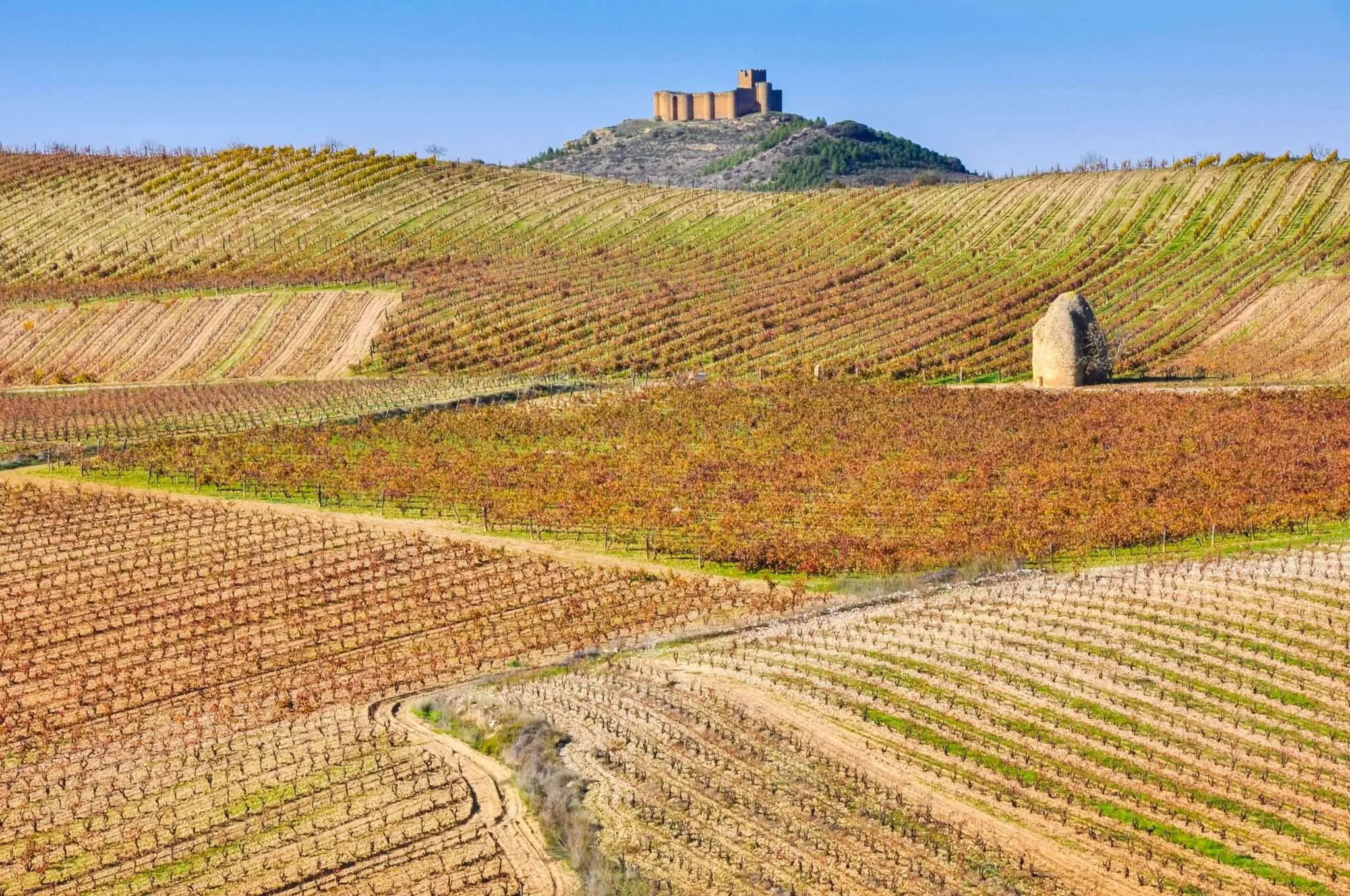 Rioja_vineyard and Davalillo castle