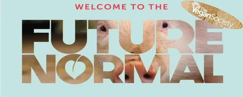 veganska viner - detta är framtiden