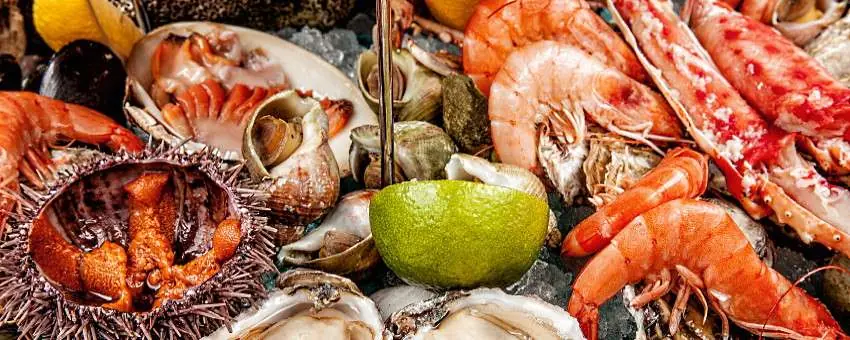 skaldjur - en skaldjursplatå