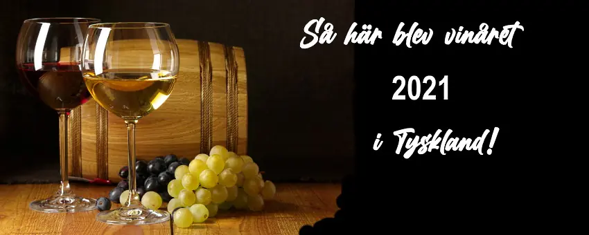 tyska viner - omslag med druvor och viner