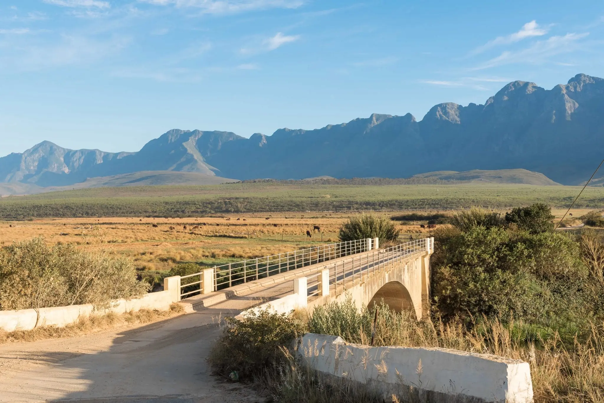 cape-south-coast-min_pmouq3
