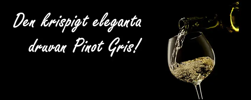 Druvan_Pinot_Gris omslag med ett glas vitt