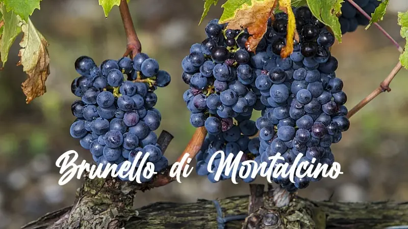 fattoi 4 - druvan brunello