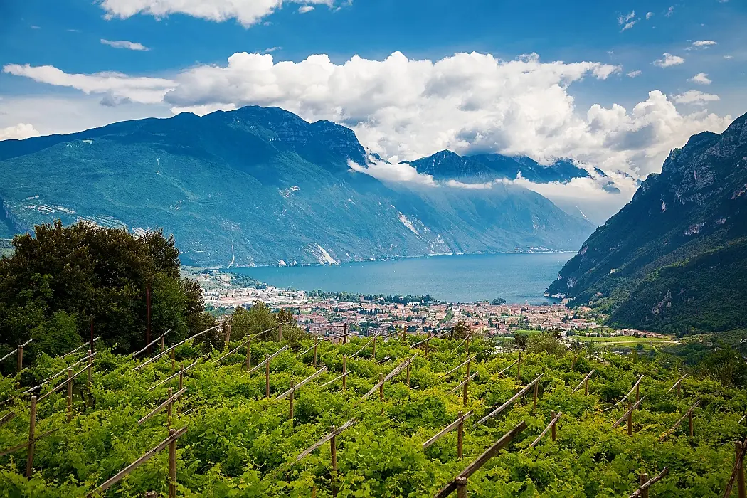 Lugna - lake garda vineyards