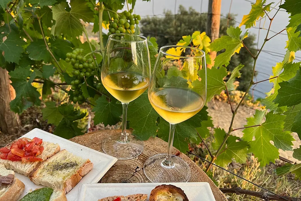 tyska druvor omslagsbild med 2 glas